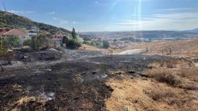 Bozüyük ilçesine bağlı Bilecik’te meydana gelen otluk yangını, ekiplerin hızlı