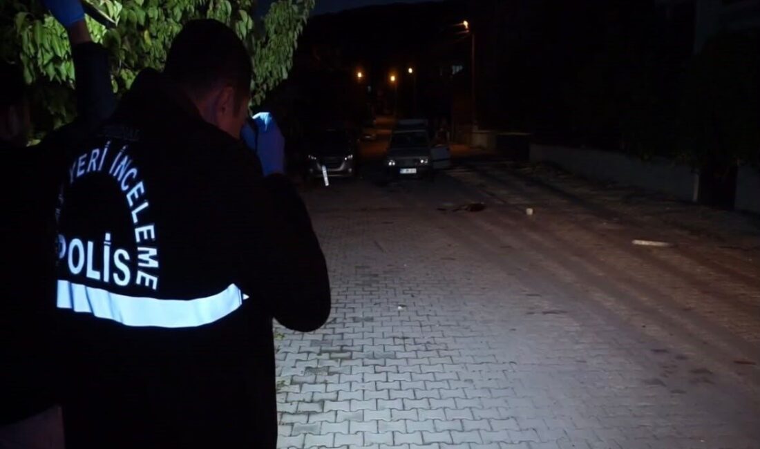 Burdur ilinin Gölhisar ilçesinde meydana gelen bir olayda, küreklerin de
