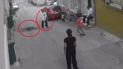 Bursa’da bir evde çok sayıda kedi ve köpek besleyen kadının