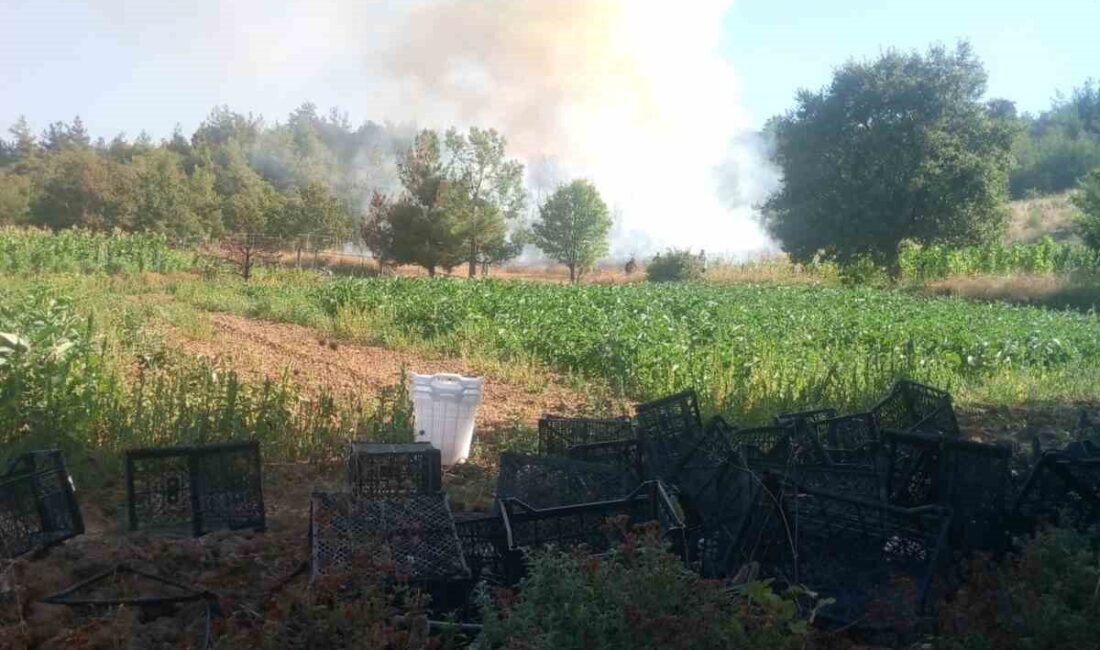 Bursa’nın Kestel ilçesinde ormanlık alanda başlayan yangına hem karadan hem