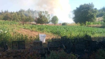 Bursa’nın Kestel ilçesinde ormanlık alanda başlayan yangına hem karadan hem