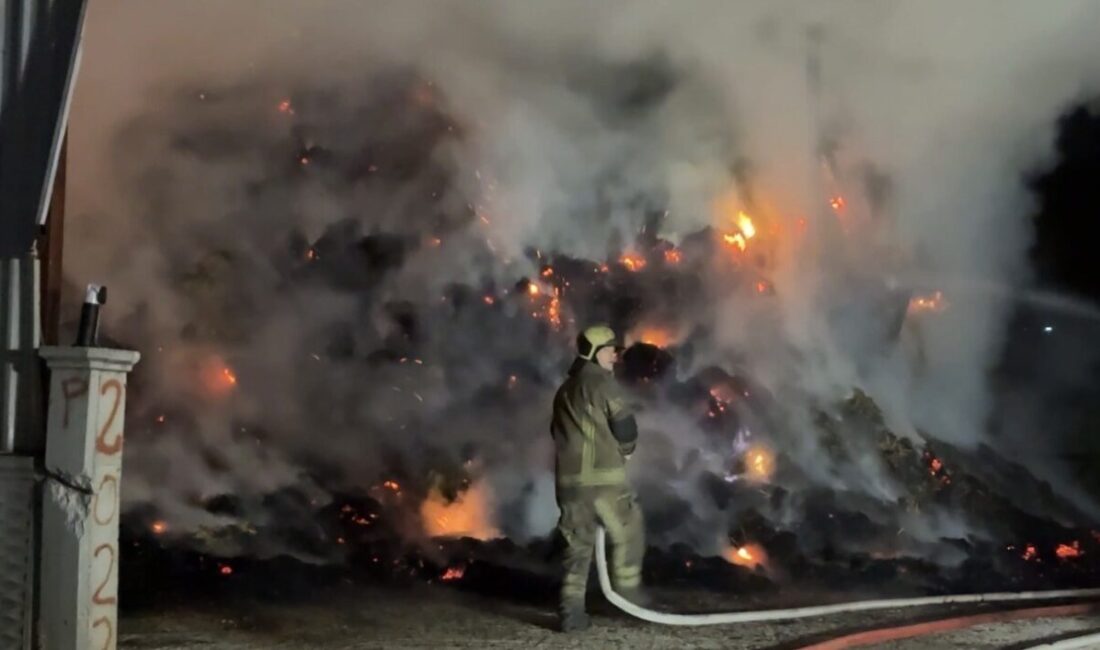 Bursa’nın Kestel ilçesinde bulunan bir samanlıktaki yangın, itfaiye ekiplerinin hızlı