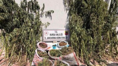Bursa’nın Karacabey ilçesinde jandarma birimleri tarafından gerçekleştirilen uyuşturucu operasyonunda 22