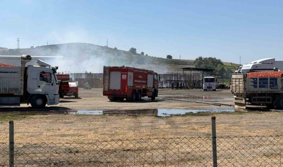 Mustafakemalpaşa ilçesinde faaliyet gösteren bir kuru meyve ve sebze fabrikasının