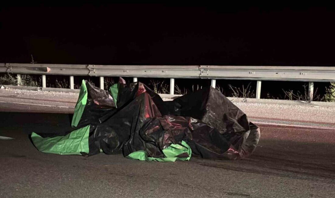 Çanakkale’nin Ezine ilçesinde, 97 yaşındaki bir adamın yolun karşısına geçmeye