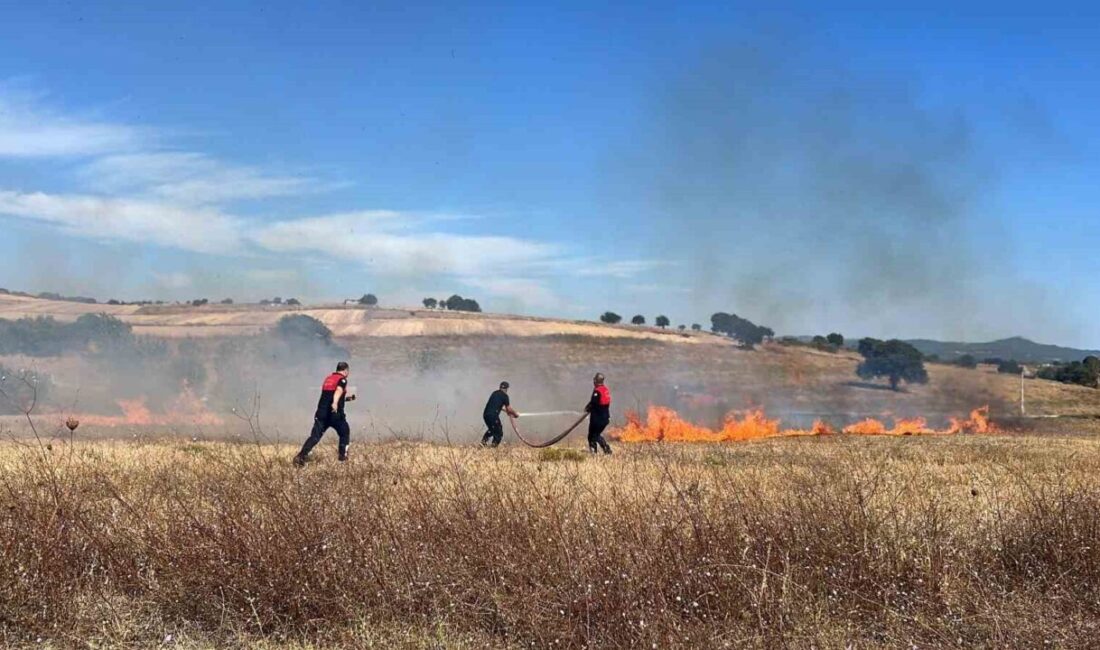 Çanakkale’de özel bakım merkezi yakınlarında çıkan ot yangını, orman ve