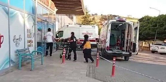 Kahramanmaraş’ın Çağlayancerit ilçesinde, bir ceviz ağacından düşen bir kişi acil