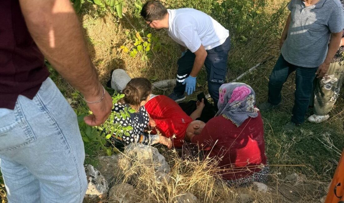 Adıyaman’ın Gölbaşı ilçesinde bir kişi, ceviz toplamak için çıktığı ağaçta