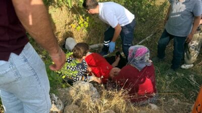 Adıyaman’ın Gölbaşı ilçesinde bir kişi, ceviz toplamak için çıktığı ağaçta