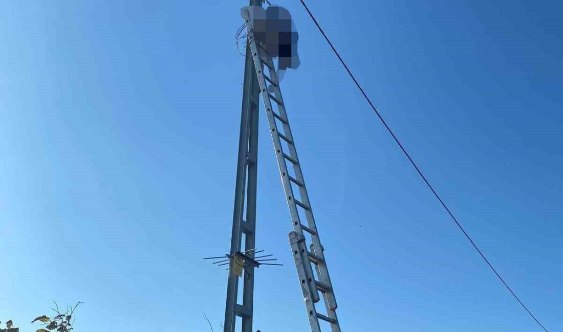 Sakarya’nın Kocaali ilçesinde bir elektrikçi, tırmandığı direkte elektrik akımına kapılarak