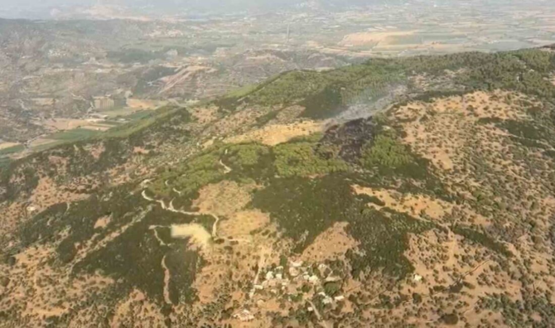 Çine ilçesinde meydana gelen orman yangını, ekiplerin hava ve kara