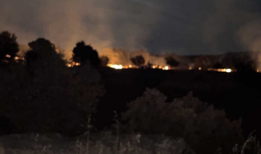 Denizli’nin Çivril ilçesinde meydana gelen arazi yangını, kısa sürede ekiplerin