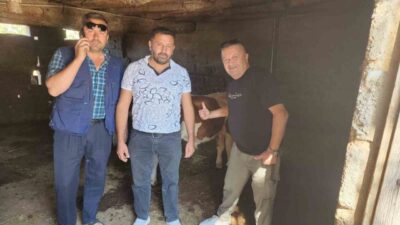 Çivril ilçesine bağlı İğdir Mahallesi’nde kaybolan iki buzağı, mahalle sakinleri