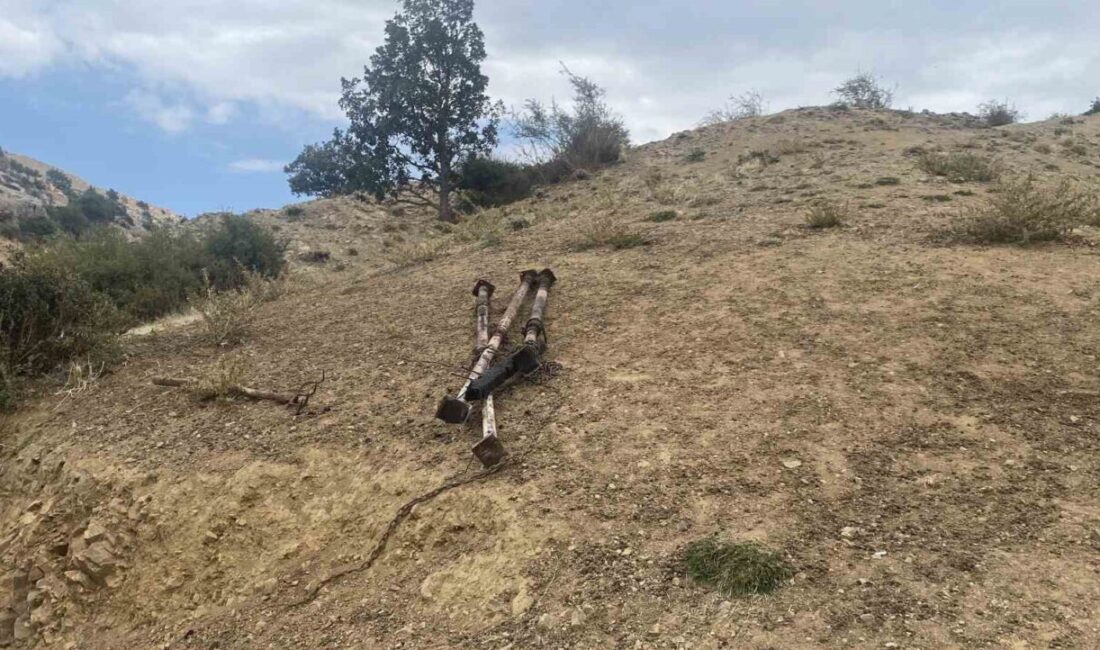 Bahçelievler Mahallesi Melikgazi bağlarındaki bir ağılda meydana gelen yangında, yaklaşık