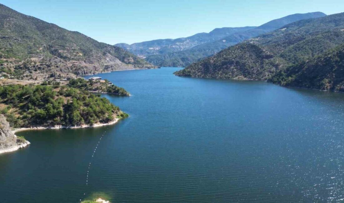 Oğuzlar ilçesindeki ormanlar, yapay zeka ve uydu verilerini kullanan bir