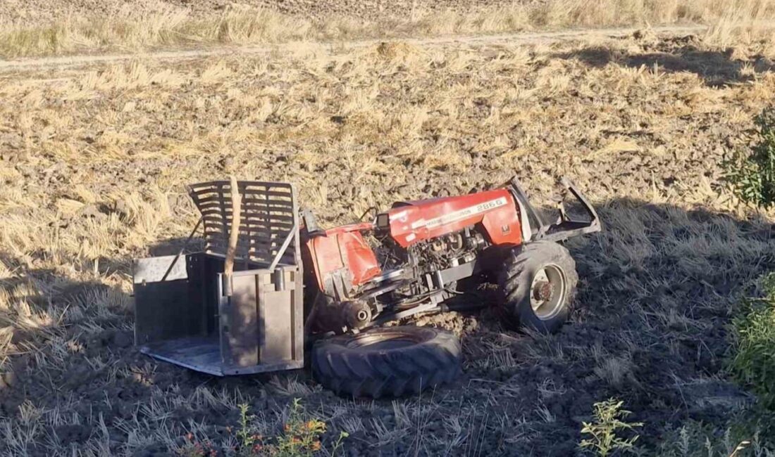 Çorum’da minibüs, traktöre arkadan çarpıp onu yoldan çıkararak şarampole düşmesine