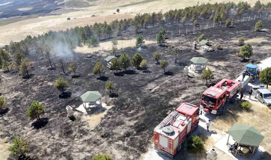 Çorum’un Bayat ilçesinde çıkan bir yangın ormanlık alana sıçradı ve