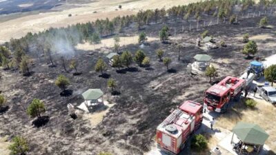 Çorum’un Bayat ilçesinde çıkan bir yangın ormanlık alana sıçradı ve