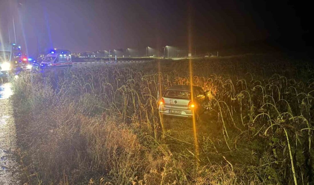 Çorum’un Alaca ilçesinde meydana gelen trafik kazasında otomobil tarlaya uçtu