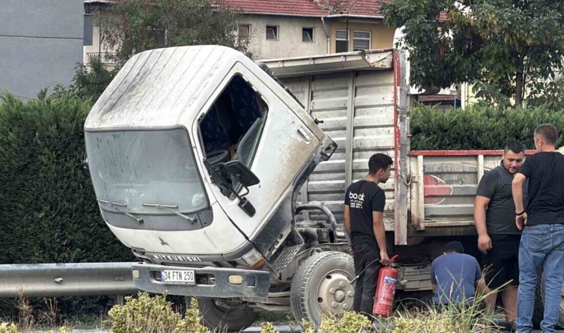 Düzce D-100 karayolunda seyir halinde olan bir kamyonun kupa bölümünde