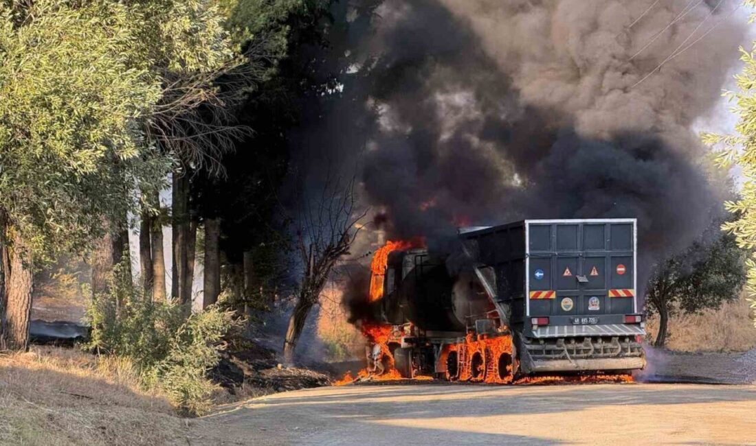 Muğla’nın Dalaman ilçesine bağlı Elcik mahallesinde, Dalaman Belediyesi’ne ait bir