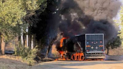 Muğla’nın Dalaman ilçesine bağlı Elcik mahallesinde, Dalaman Belediyesi’ne ait bir