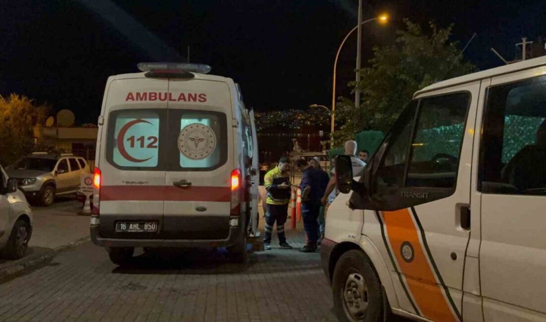 Bursa’nın Gemlik ilçesinde bir üniversite öğrencisi, üniversite kampüsü içinde bulunan
