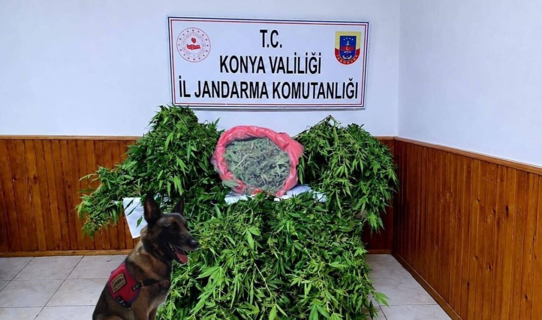 Konya’nın Ereğli ilçesinde jandarma ekiplerinin gerçekleştirdiği operasyonda, depo şeklinde gizlenmiş