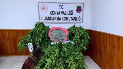Konya’nın Ereğli ilçesinde jandarma ekiplerinin gerçekleştirdiği operasyonda, depo şeklinde gizlenmiş