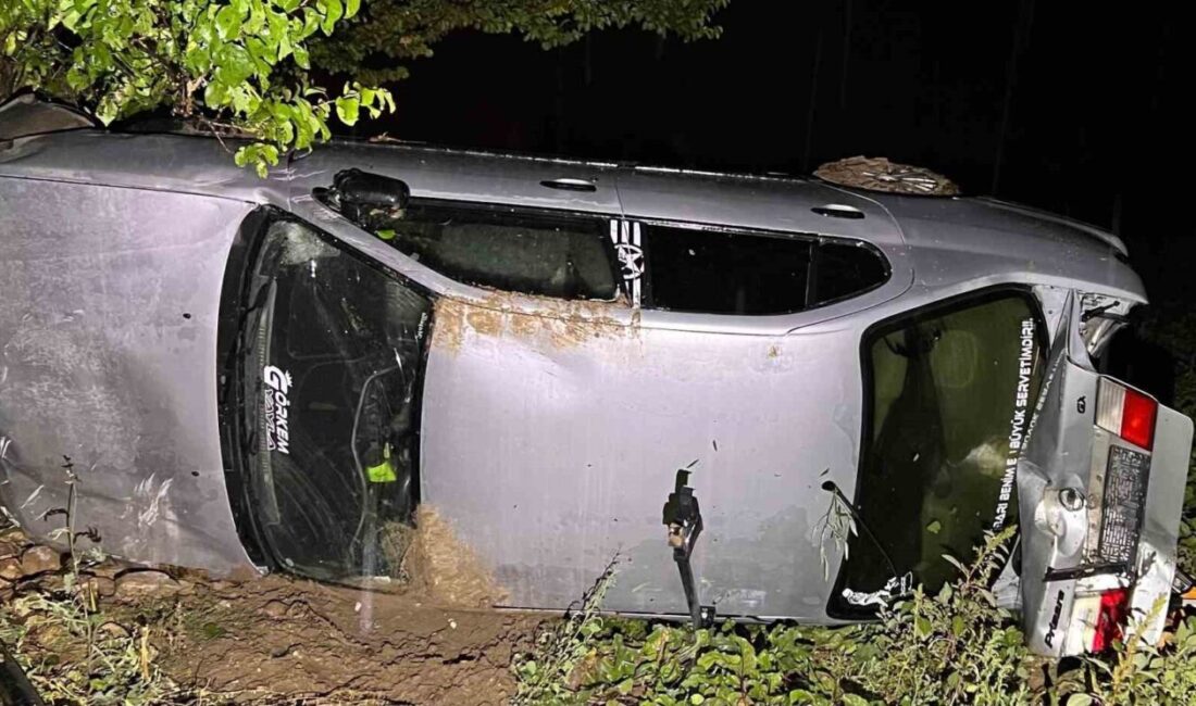 Bolvadin ilçesinde meydana gelen trafik kazasında bir kişi yaralandı. Kazanın,