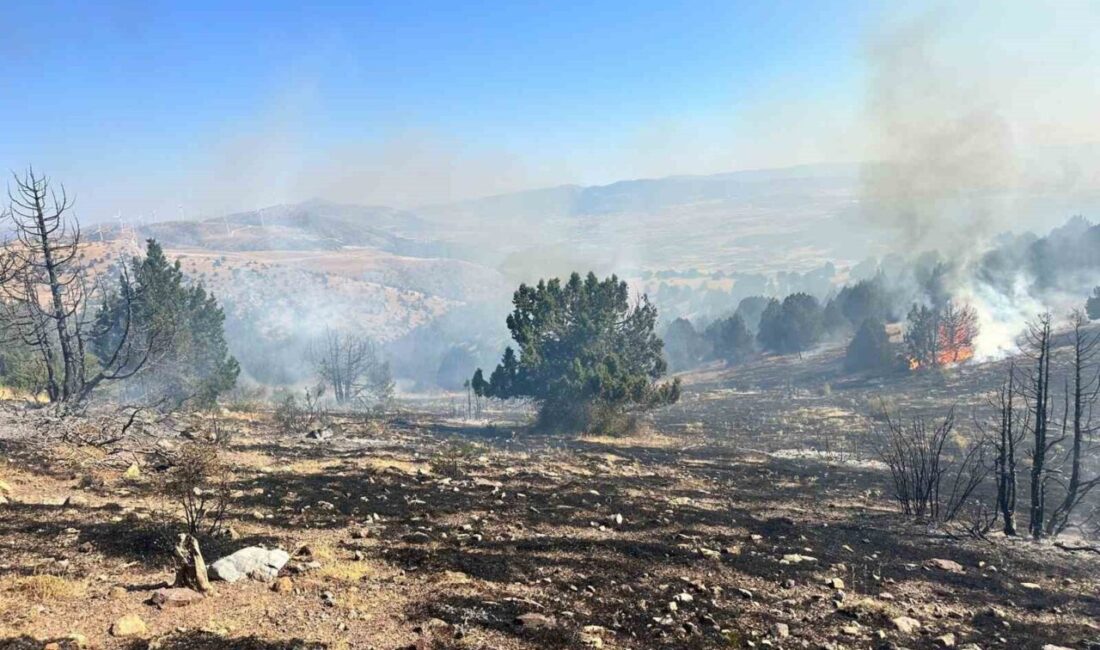 Dinar ilçesine bağlı Cerityaylası köyünde meydana gelen orman yangını, ekiplerin