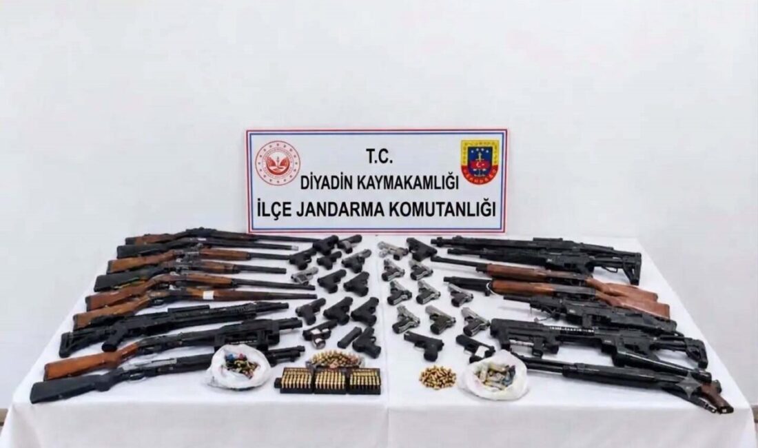 Ağrı’da silah kaçakçılığıyla mücadele kapsamında Diyadin, Doğubayazıt ve Eleşkirt ilçelerinde