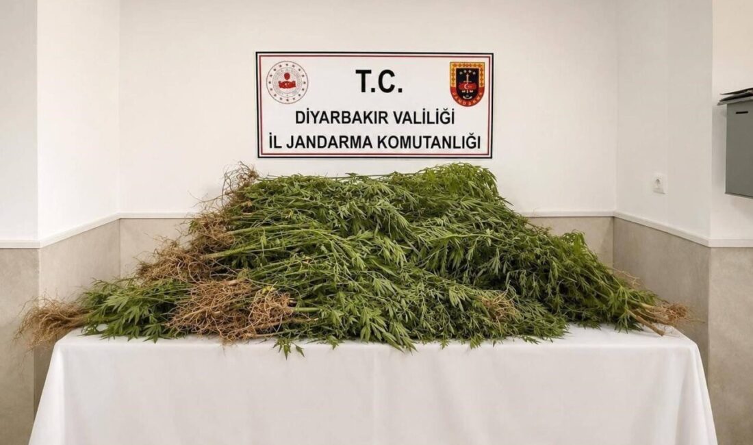 Diyarbakır’da gerçekleştirilen operasyonlarda, İl Jandarma Komutanlığı Narkotik Suçlarla Mücadele Şube