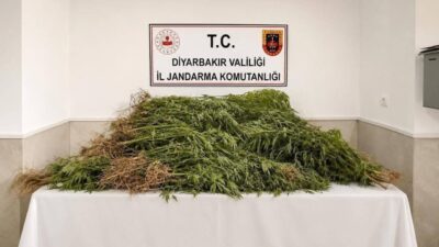 Diyarbakır’da gerçekleştirilen operasyonlarda, İl Jandarma Komutanlığı Narkotik Suçlarla Mücadele Şube