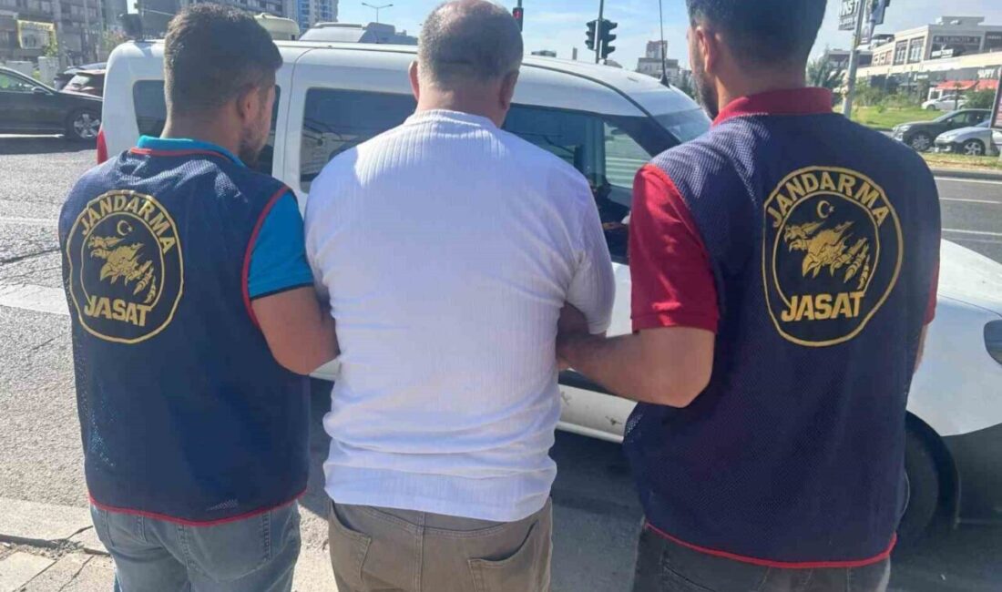 Diyarbakır’da, 86 kişi jandarma ekipleri tarafından yakalandı çünkü hepsinin hapis
