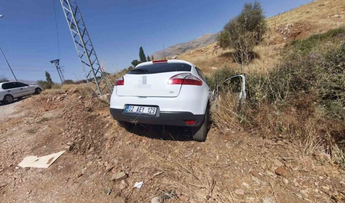 Malatya’nın Doğanşehir ilçesinde meydana gelen trafik kazasında 2 kişi yaralandı.