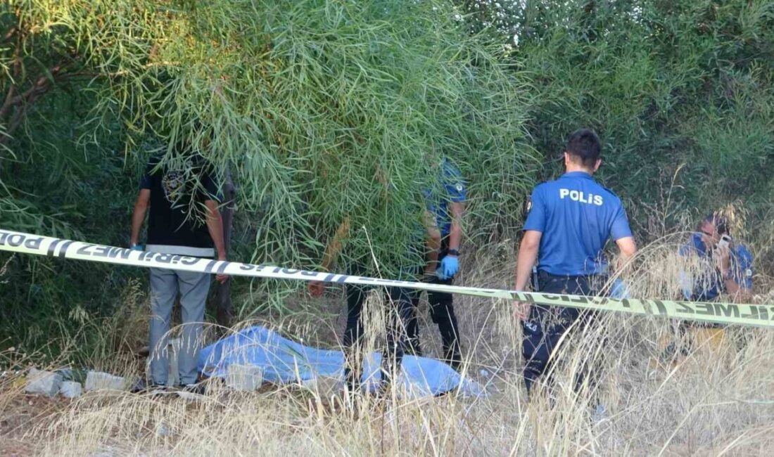 Antalya’da, Yeşiltepe Mahallesi Halide Edip Caddesi’nde bulunan ağaçlık alanda bir