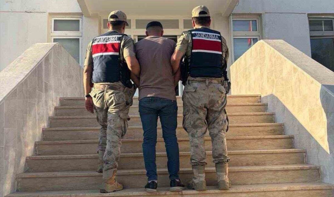 Şanlıurfa’nın Akçakale ilçesinde dolandırıcılık suçundan mahkumiyeti kesinleşmiş olan ve 13