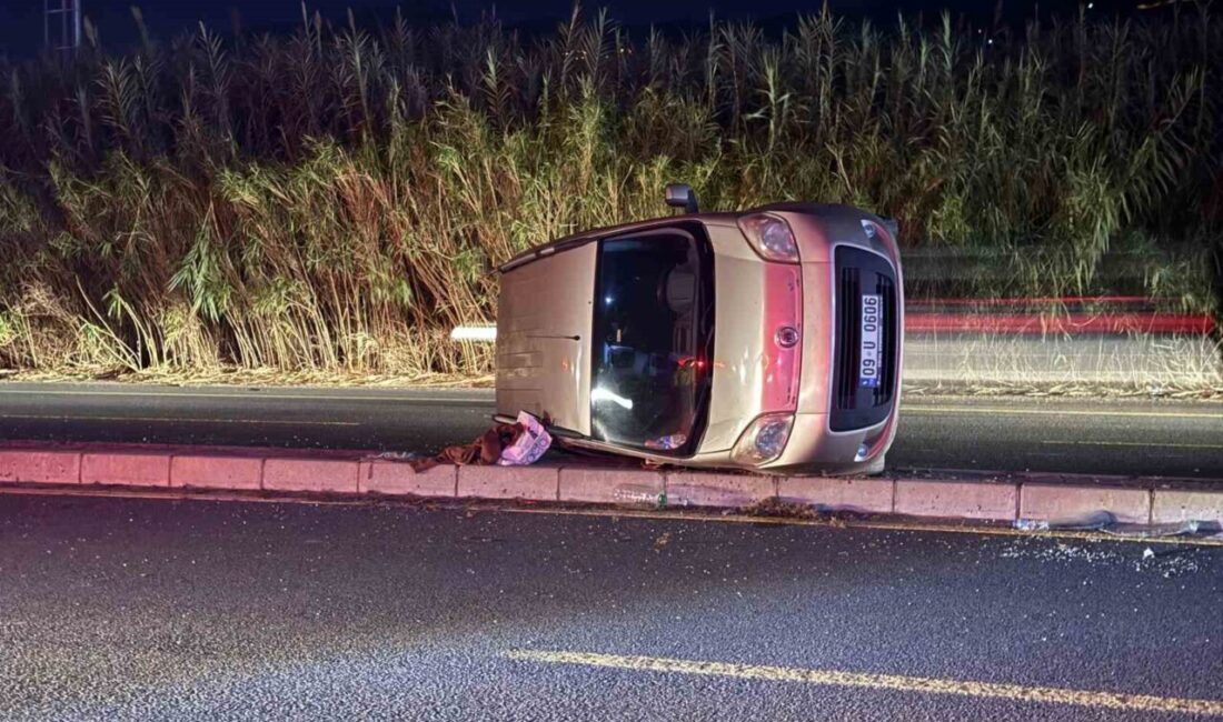 Aydın’ın Efeler ilçesinde meydana gelen bir trafik kazasında ticari bir