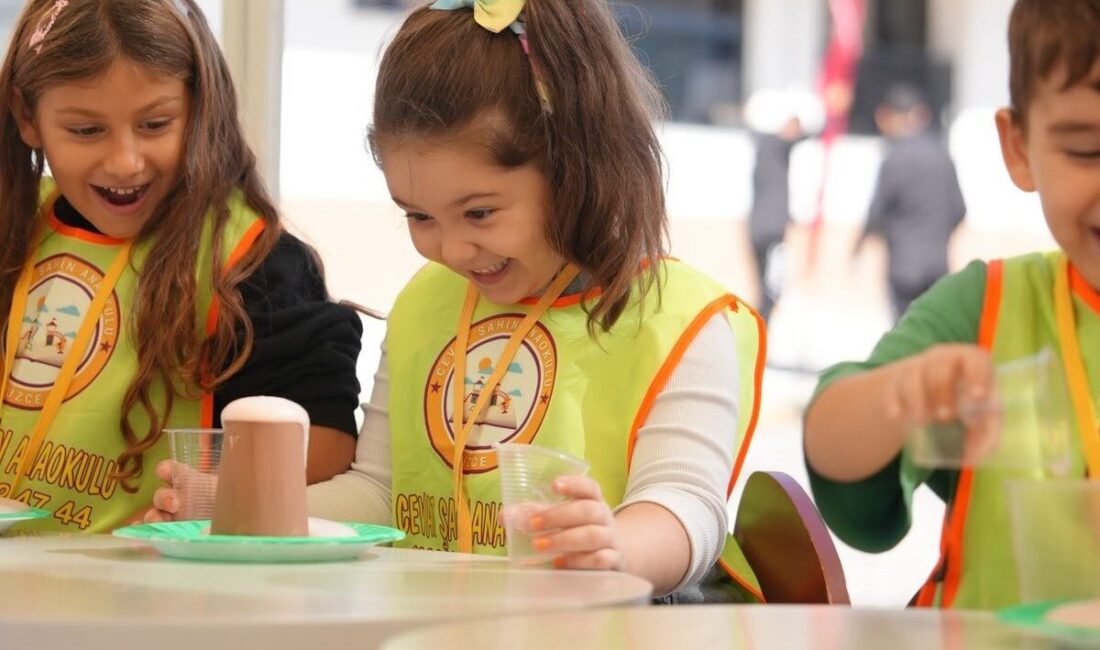 Düzce Bilim Şenliği, Bilim Şenlikleri Destekleme Programı çerçevesinde düzenlenen etkinlikler