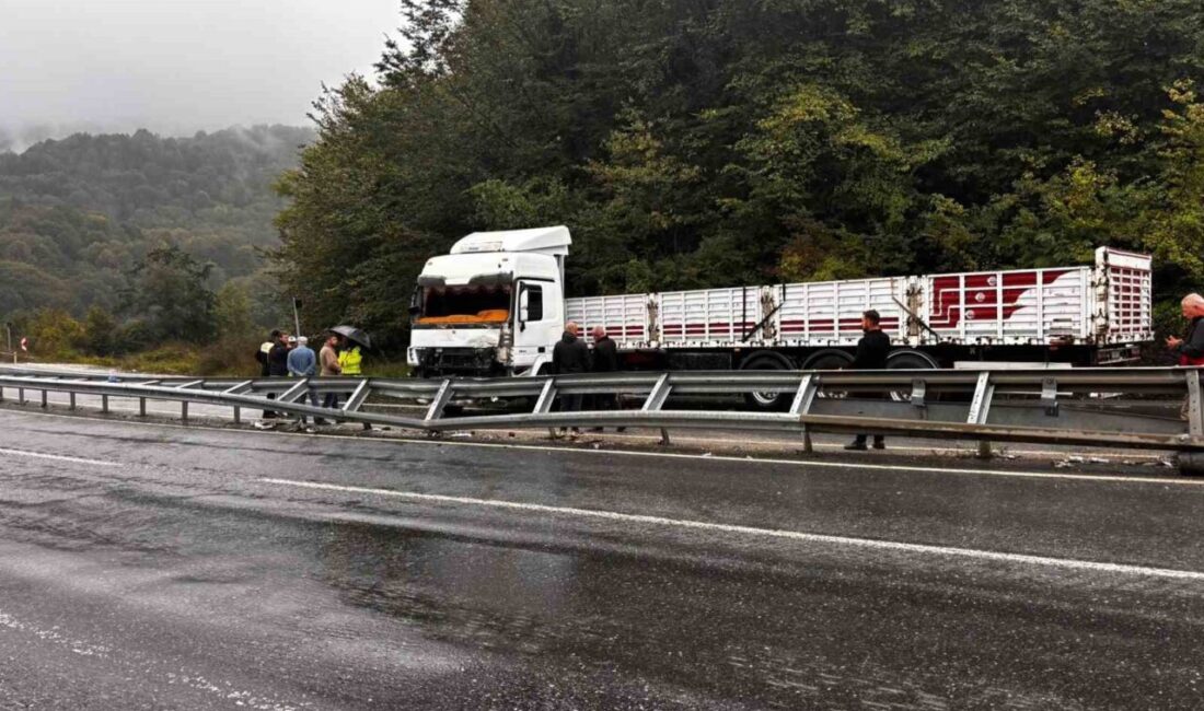 Düzce Akçakoca Karayolu’nda meydana gelen bir trafik kazasında seyir halindeki