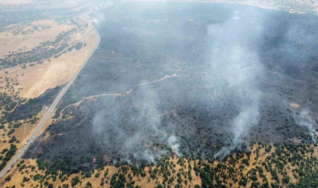 Elazığ’ın Karakoçan ilçesinde kırsal alanda başlayan yangın, ormanlık bölgelere de