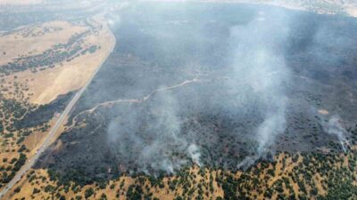 Elazığ’ın Karakoçan ilçesinde kırsal alanda başlayan yangın, ormanlık bölgelere de
