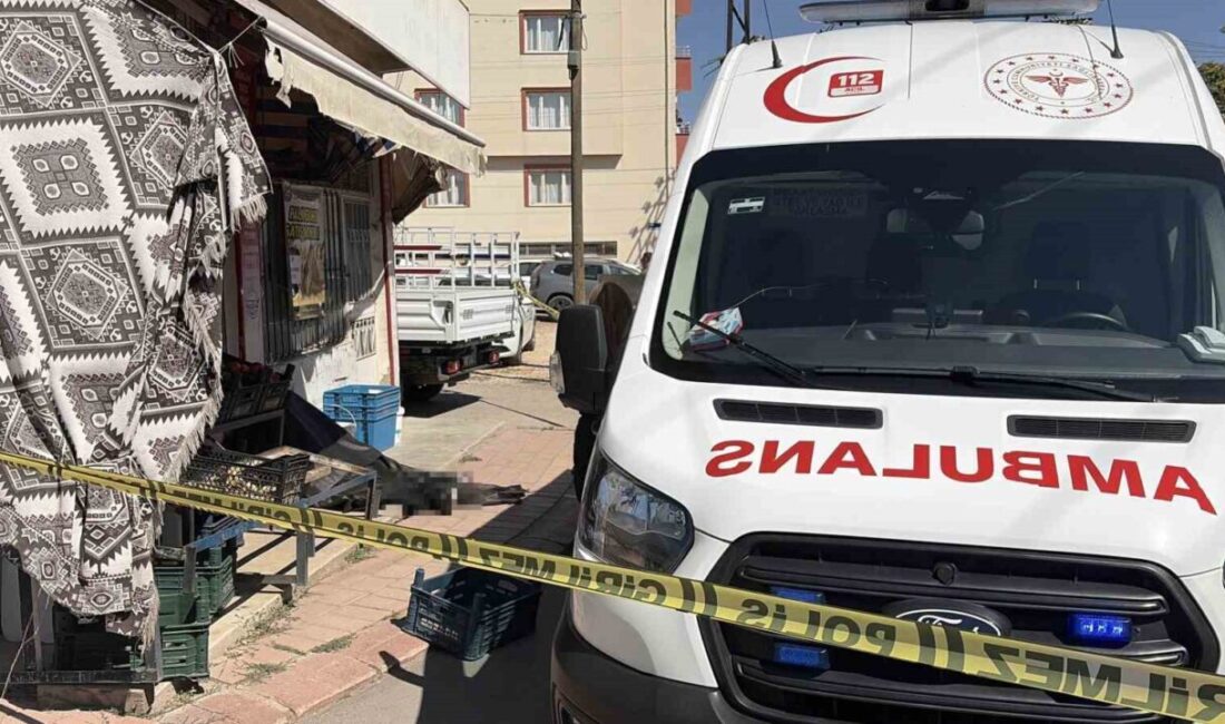 Elazığ’da parkta silahlı saldırıya maruz kalan bir kişi yaşamını yitirdi.