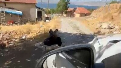 Elazığ ilinde, Değirmenönü köyünde yaşlı bir adamın elinden zincirle ağaca