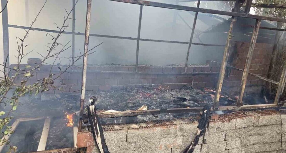 Söğüt ilçesinde meydana gelen bir yangın, Zemzemiye köyünde bir bahçeyi