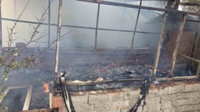 Söğüt ilçesinde meydana gelen bir yangın, Zemzemiye köyünde bir bahçeyi