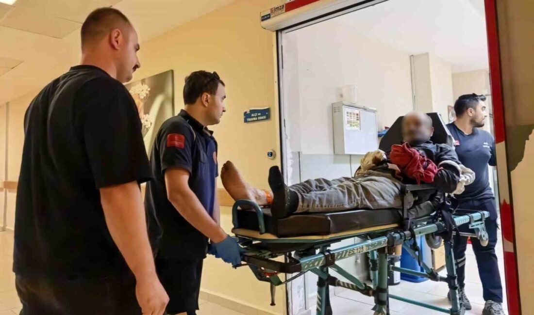 Bursa’nın İnegöl ilçesinde, ormanlık alanda çalışan bir işçi tomruğa zincir