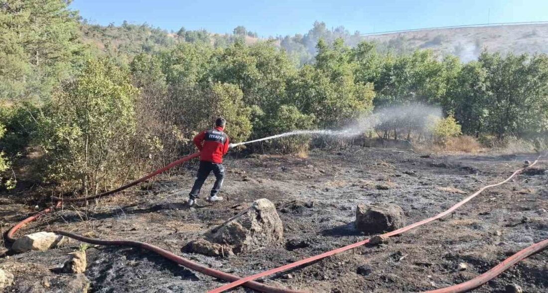 Emet ilçesine bağlı dağlık bir bölgede orman yangını meydana geldi