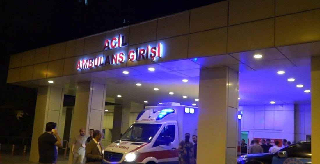 Van’ın Erciş ilçesinde Sanayi Sitesi yakınlarında meydana gelen trafik kazasında